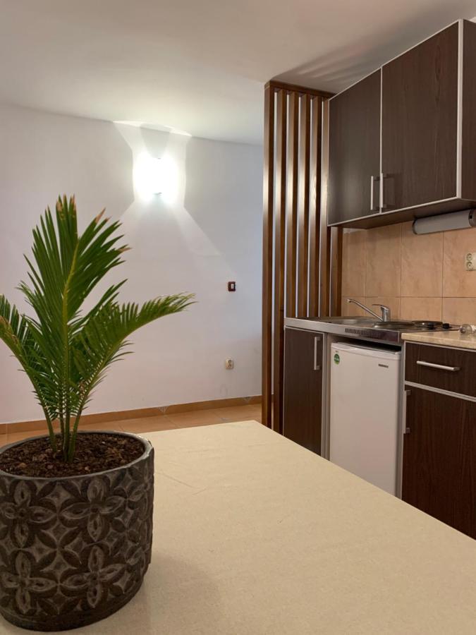 Apartamento The Four Fish Petrovac Exterior foto