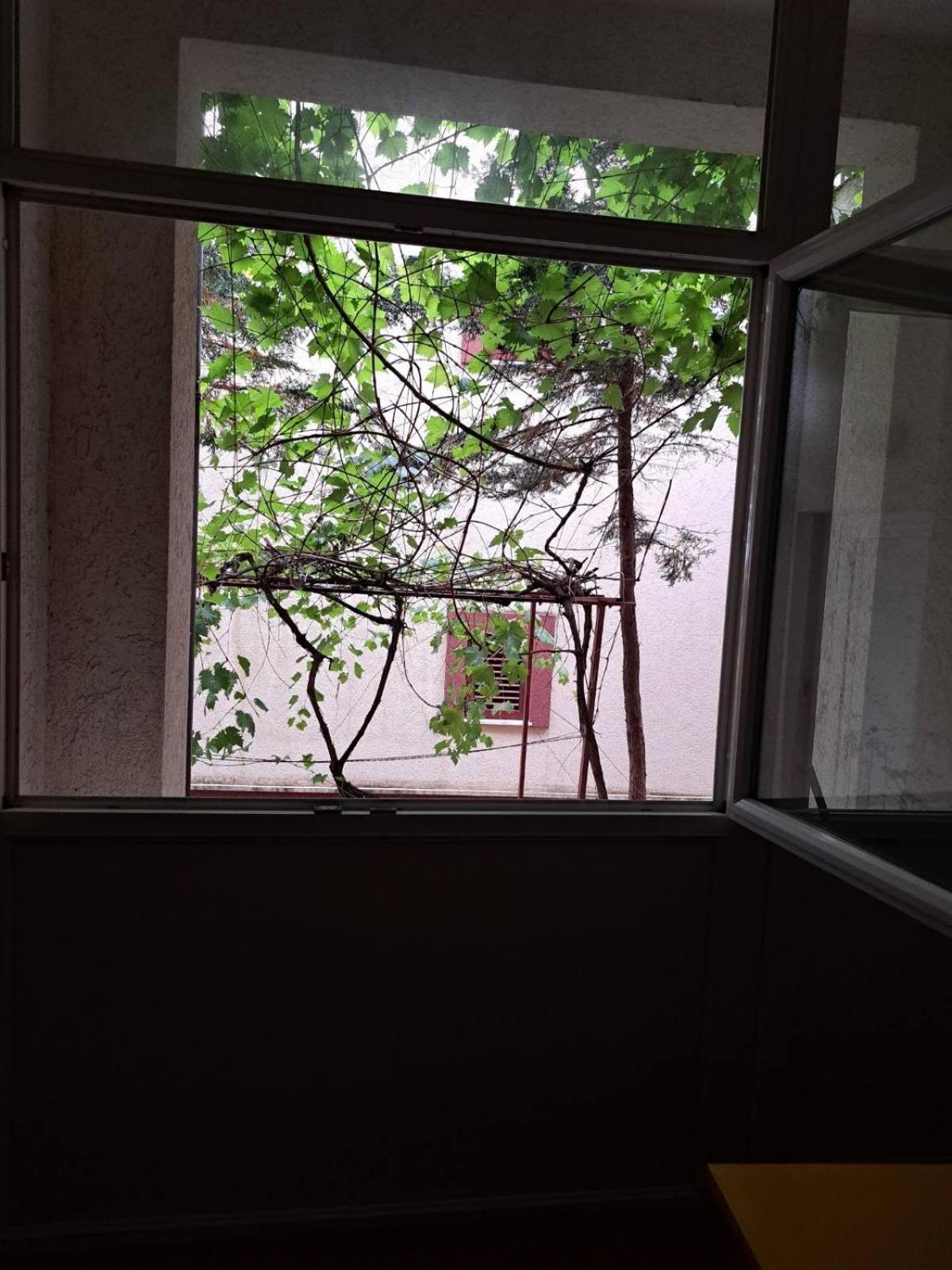 Apartamento The Four Fish Petrovac Exterior foto